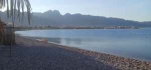 תמונה של WhatsApp‏ 2025-09-13 בשעה 17.50.39_aff9d9e0