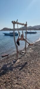 תמונה של WhatsApp‏ 2025-09-14 בשעה 22.27.27_5a52a6b4