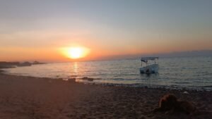 תמונה של WhatsApp‏ 2025-09-14 בשעה 22.53.55_3a30e032