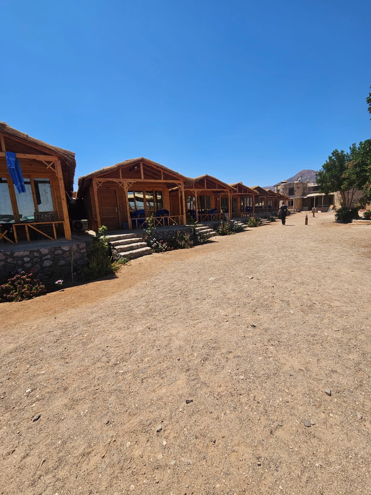 ריטריט בסיני